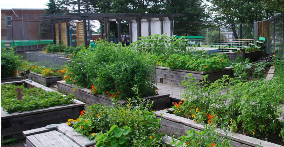 Municipal Food Team Update